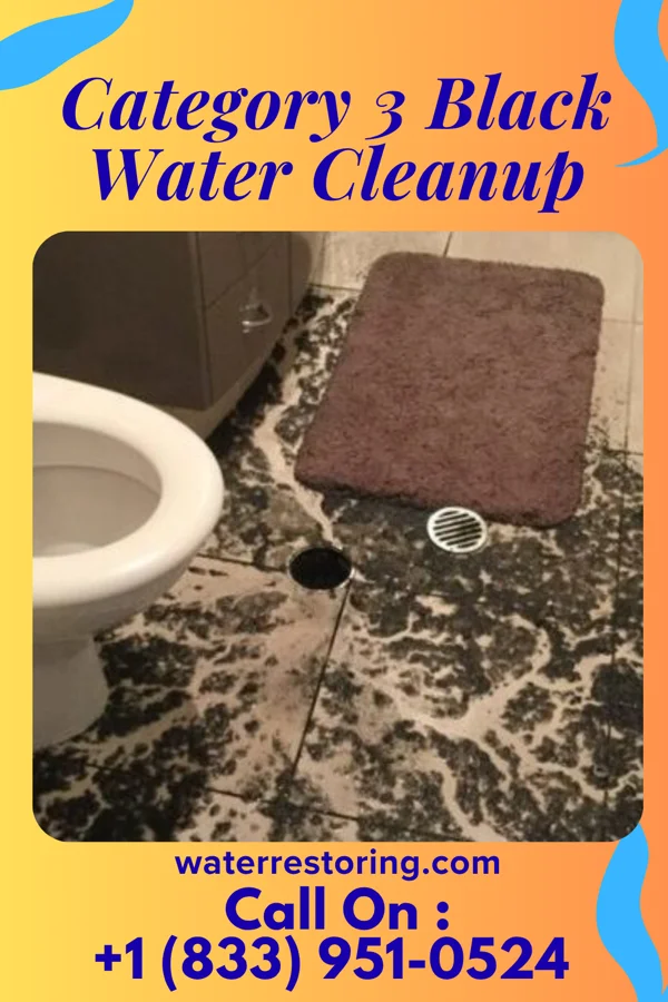 Category 3 Black Water Cleanup in South Milwaukee, WI