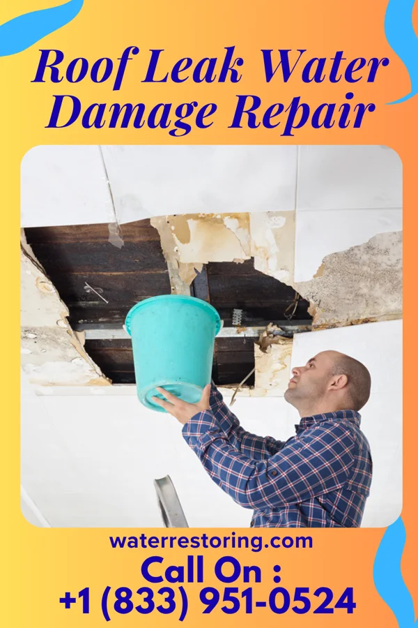 Roof Leak Water Damage Repair in South Milwaukee, WI