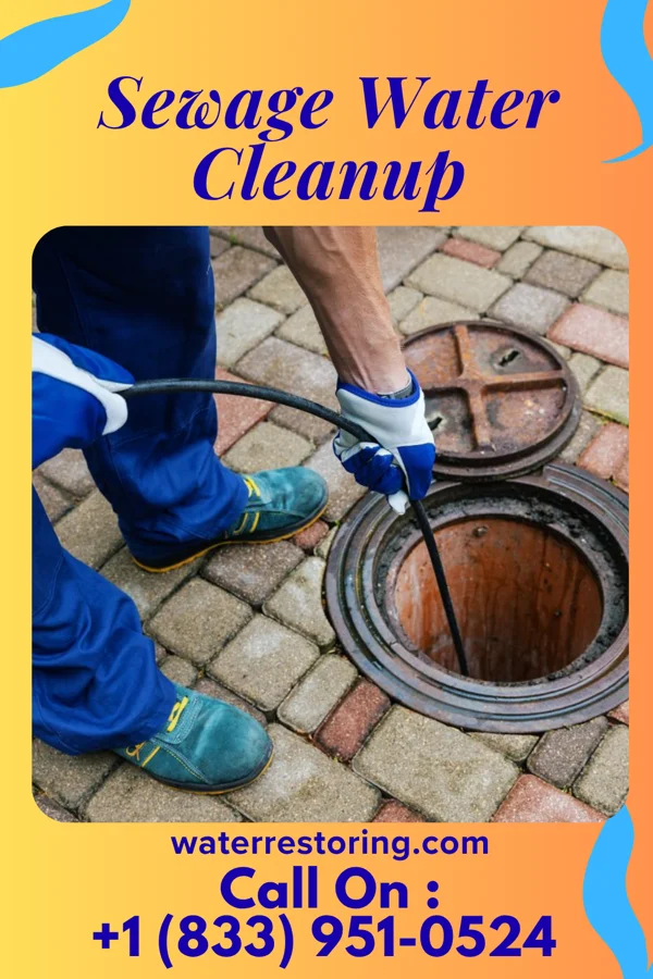 Sewage Water Cleanup in South Milwaukee, WI